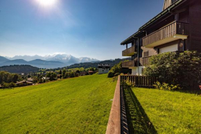 Appartement style chalet